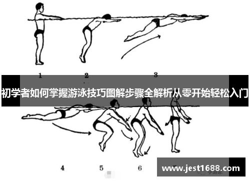 初学者如何掌握游泳技巧图解步骤全解析从零开始轻松入门